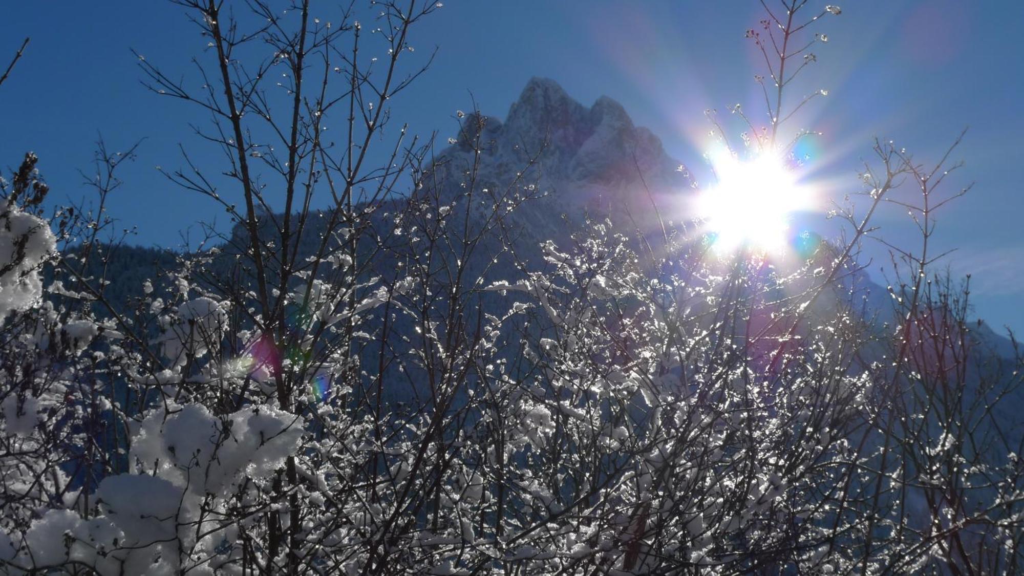 Villa Gemmy Pozza di Fassa Extérieur photo