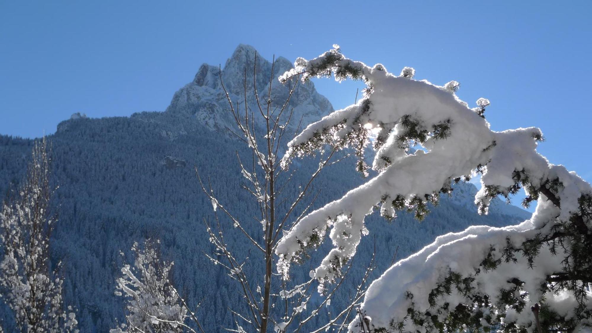 Villa Gemmy Pozza di Fassa Extérieur photo